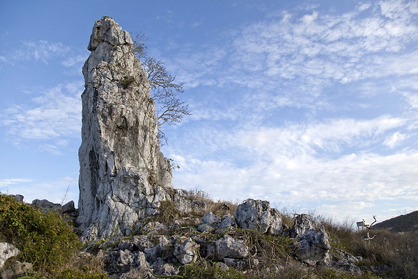 cuban monolith